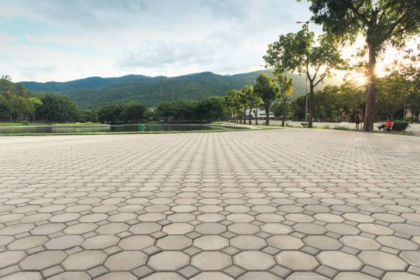 Best Custom Driveway Pavers  in Waldwick, NJ